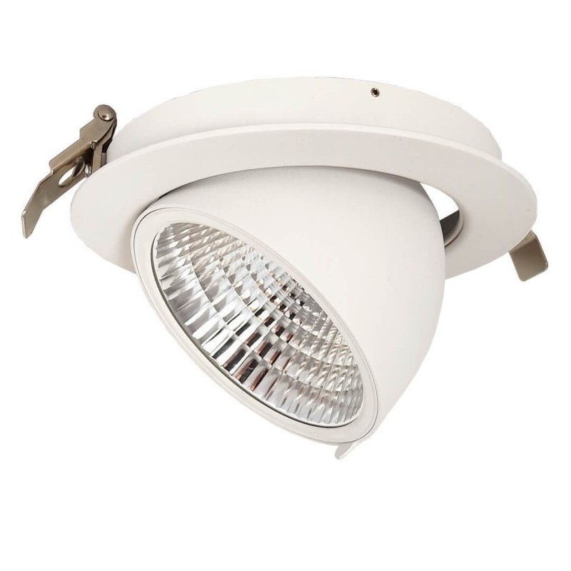 Downlight LED 30W Philips - CertaDrive - Circular Direccionable