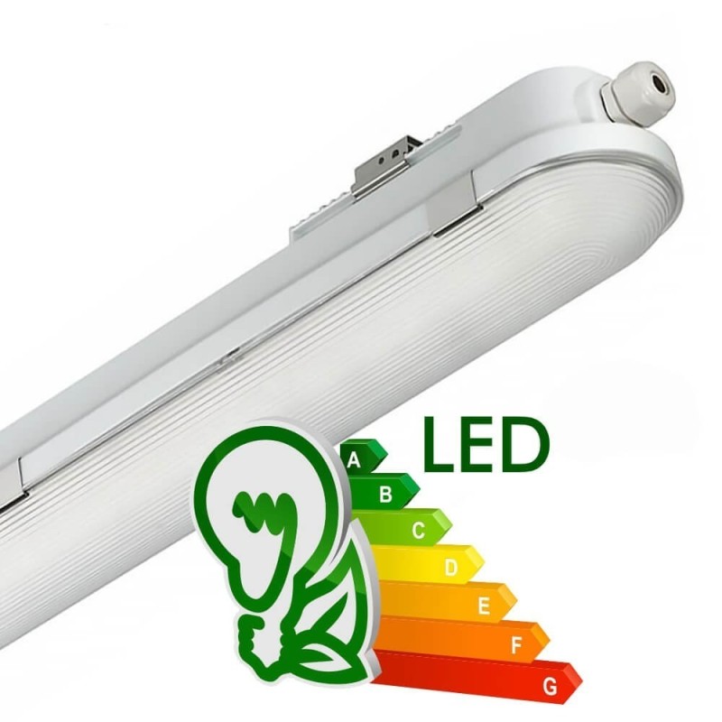 Buy 120cm 40W LED Tri-Proof Light Philips Driver COREPLUS - CCT