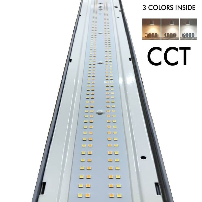 Buy 150cm 55W LED Tri-Proof Light Philips Driver COREPLUS - CCT