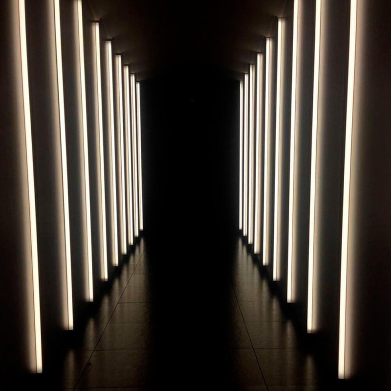 ▷ Buy LED Strips COB 24V 5m 12W/m - Flexible - IP20 Indoor