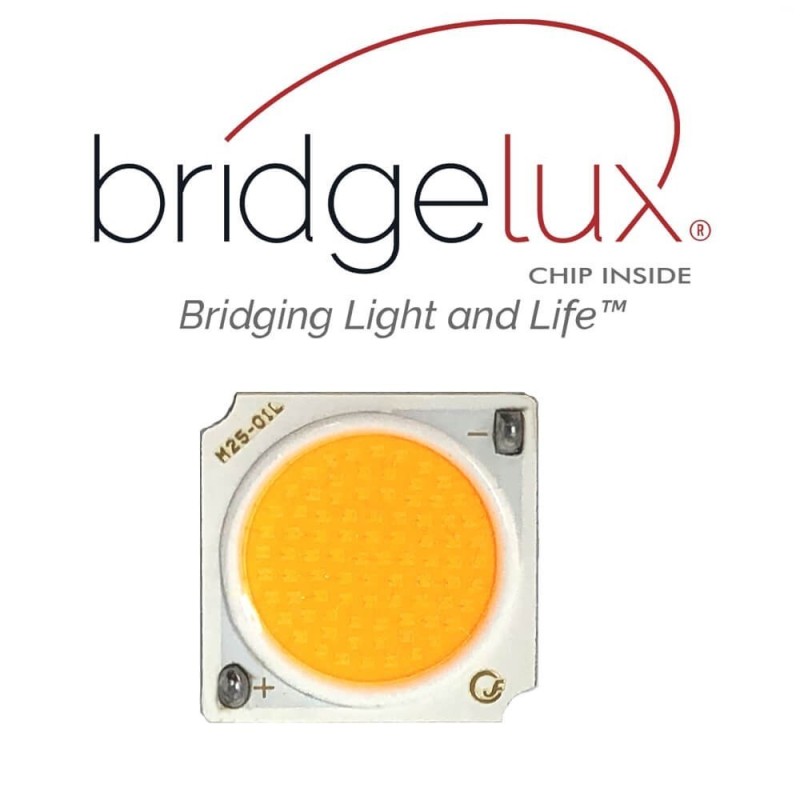 ▷ Faretto Binario Monofase GRAZ 40W CRI+98 | Chip Bridgelux | 3CCT