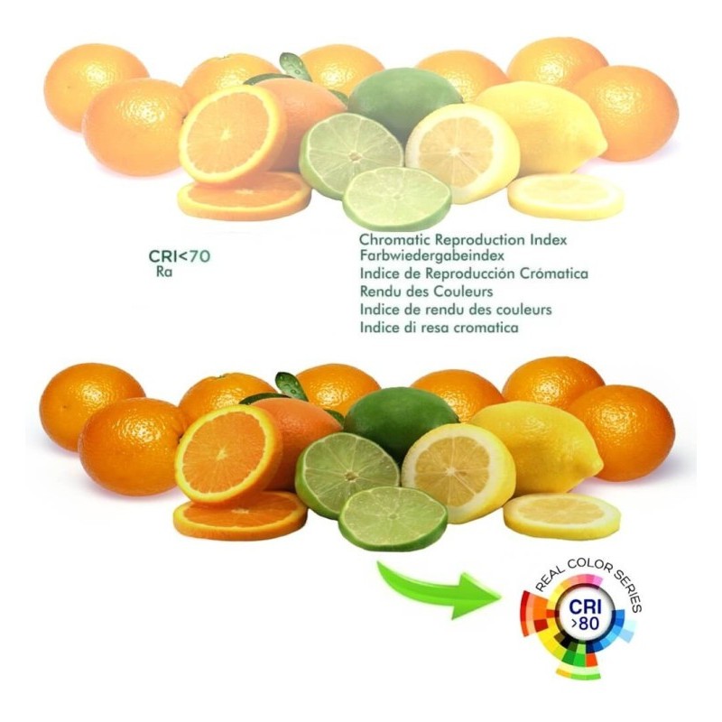 Buy Slim LED Plate 20W - Osram Chip Duris E 2835